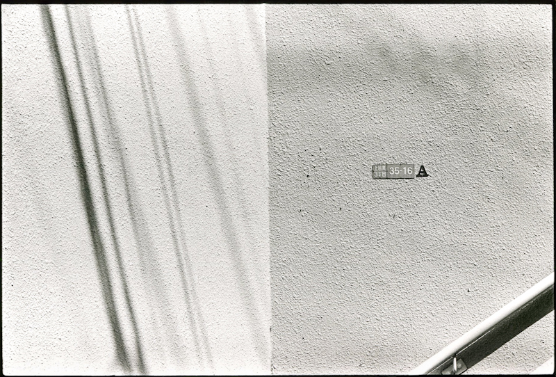 10 img799