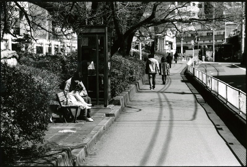 11 img798