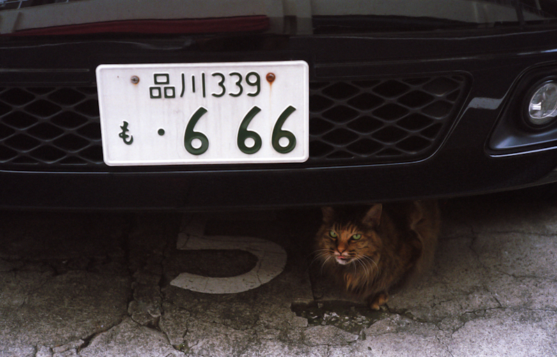 16 M3F85_008