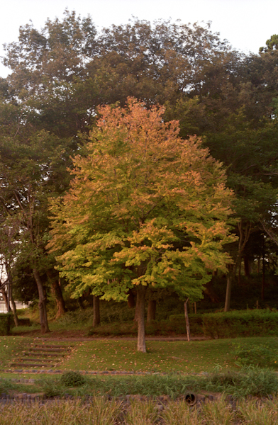 5 F3F47_018