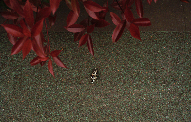 5 M3F61_013